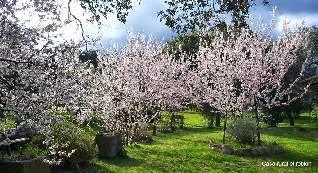 Casa Rural El Roblon Sartajada Esterno foto